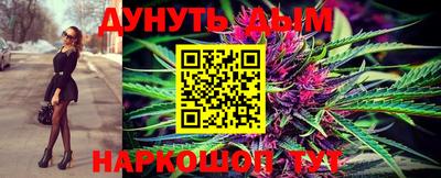 индика Обь