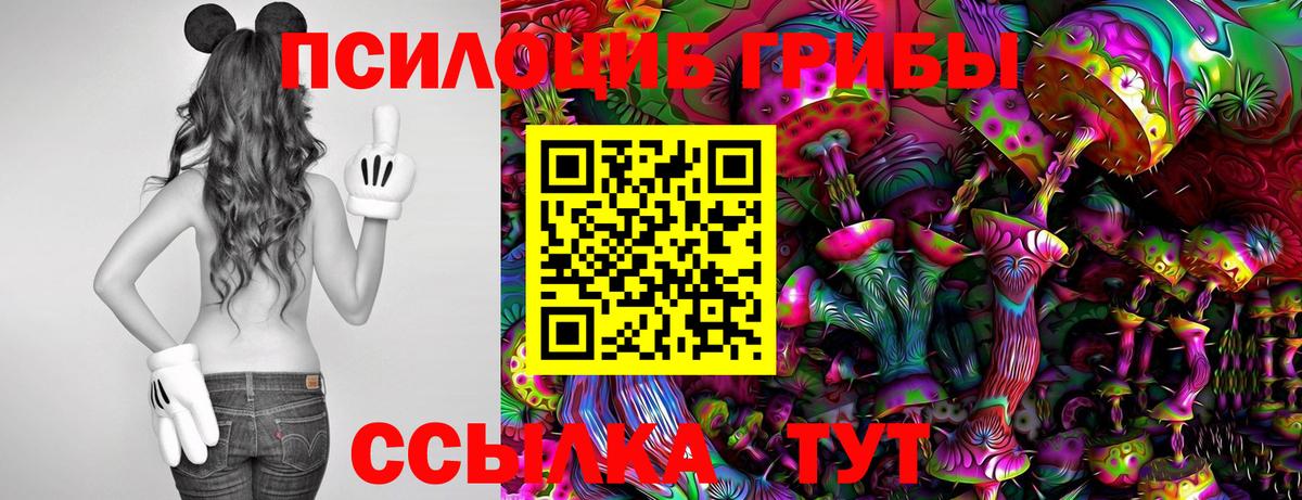 Галлюциногенные грибы Psilocybine cubensis  Вход с VPN  Сухой Лог 